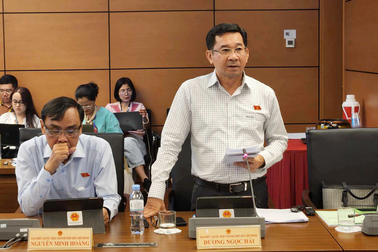 Cần quy định phạt tiền đối với hành vi bỏ cọc trong đấu giá tài sản