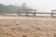 Nước lũ dâng cao ở Bình Định, hàng trăm hộ dân phải sơ tán