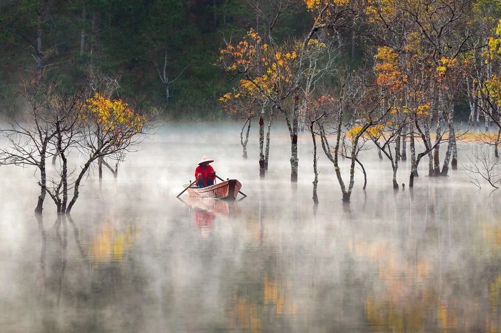Những lợi thế chưa từng có của tỉnh lớn nhất Việt Nam - 4
