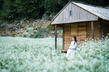 Hoa cải trắng bạt ngàn Mộc Châu, du khách khắp nơi đổ về chụp ảnh