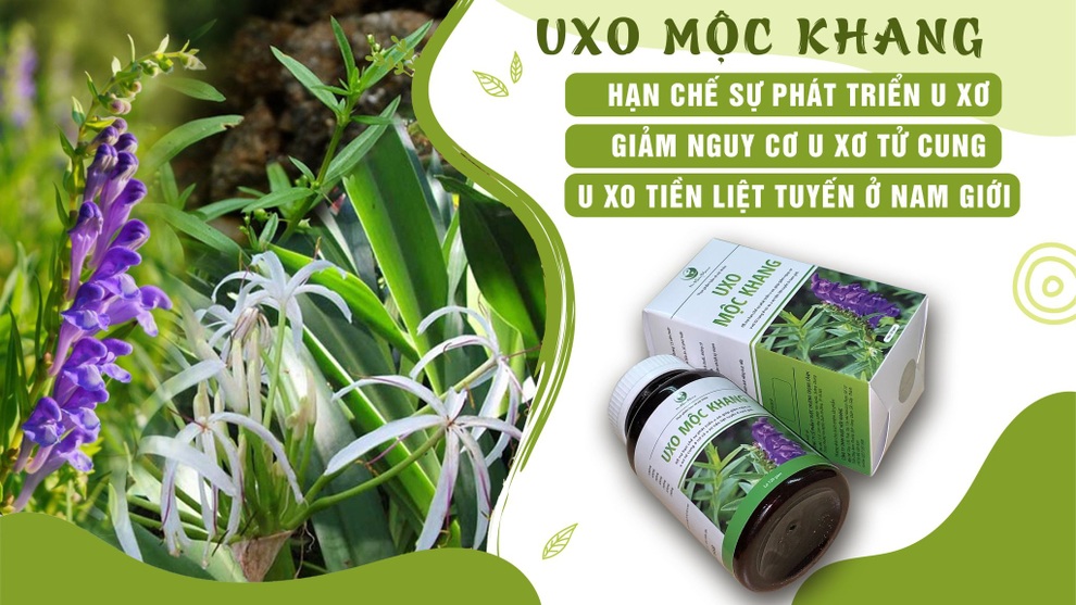 UXo Mộc Khang - hỗ trợ hạn chế sự phát triển u xơ, u nang - 4 UXo Mộc Khang - hỗ trợ hạn chế sự phát triển u xơ, u nang - 4