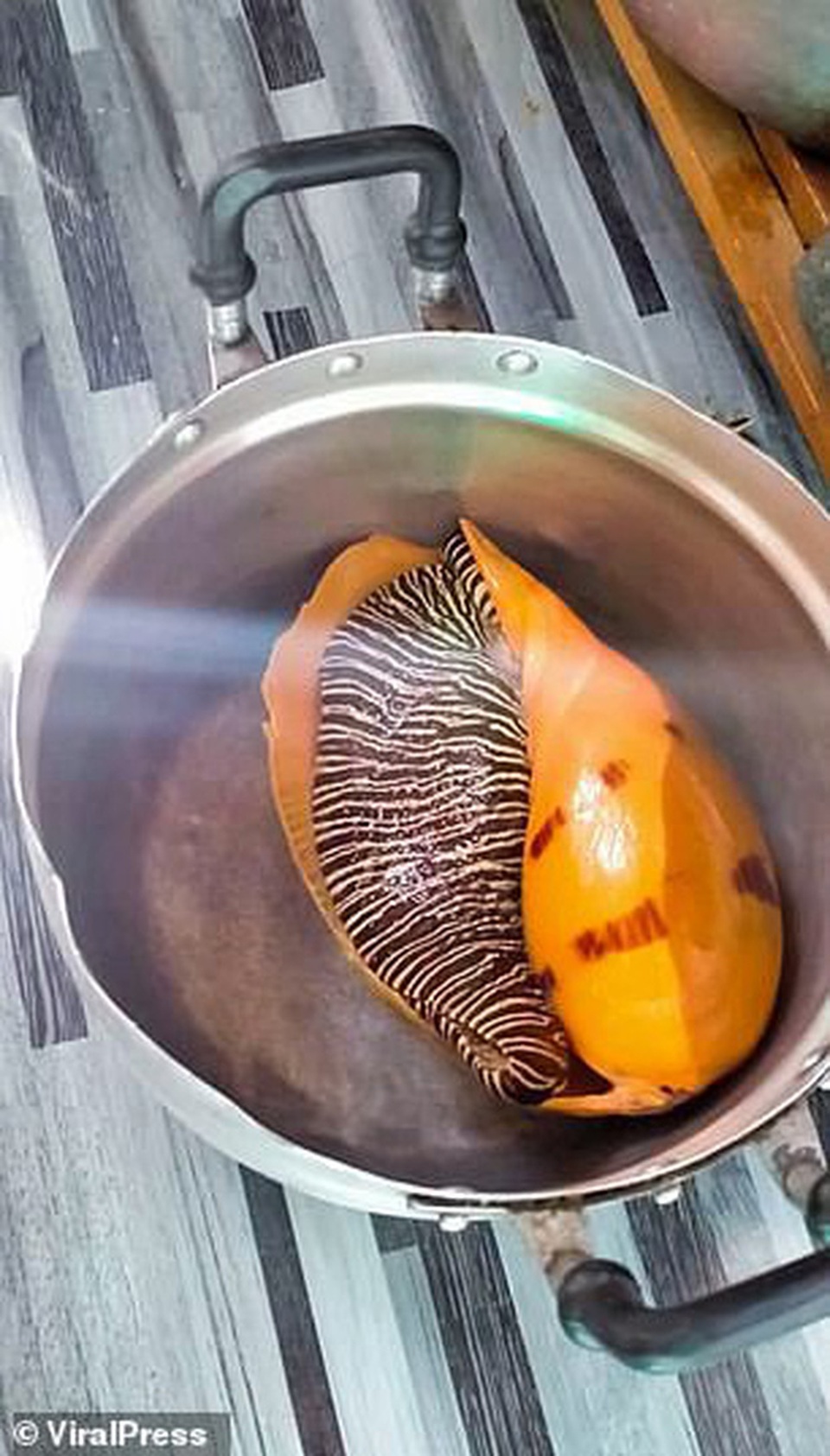 Ăn ốc luộc, người đàn ông vớ cả gia tài vì cắn trúng kho báu 8 tỷ đồng - 1 Ăn ốc luộc, người đàn ông vớ cả gia tài vì cắn trúng kho báu 8 tỷ đồng - 1