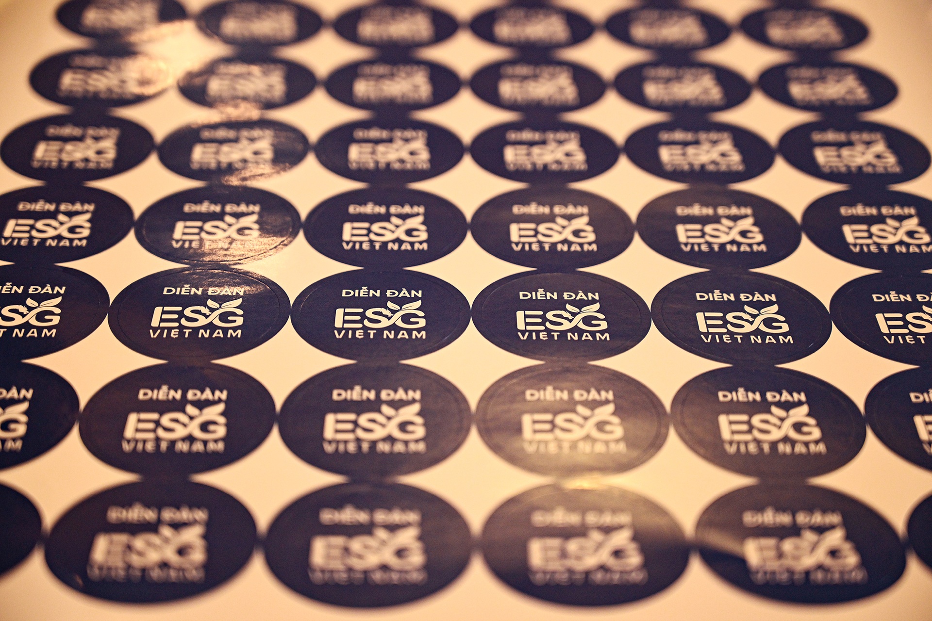 Sẵn sàng cho hội thảo thực thi ESG bằng khoa học công nghệ vào chiều nay - 11