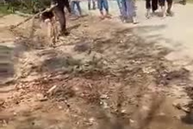 Xô xát tranh chấp đất khiến một cụ ông bị thương