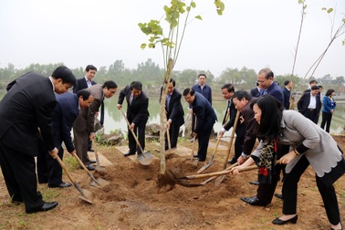 Để Tết trồng cây thực sự có ý nghĩa