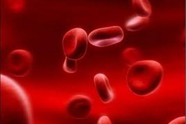 Nguy cơ thiếu máu vì rối loạn kinh nguyệt