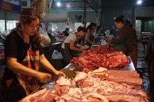 Việt Nam sẽ nhập khẩu lợn sống từ Thái Lan?