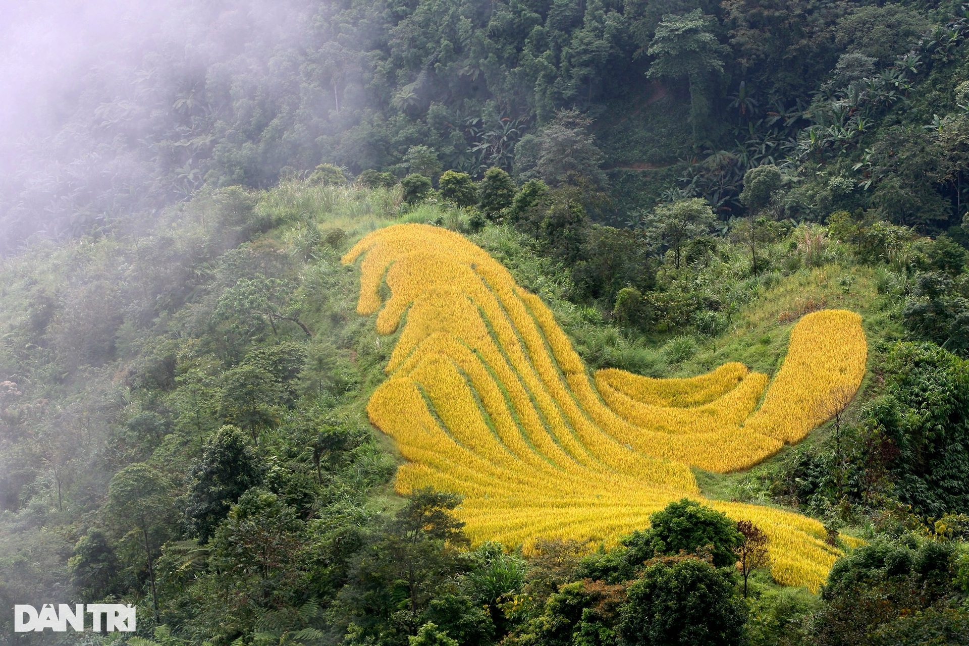 Hà Giang bốn mùa hoang dã - 1