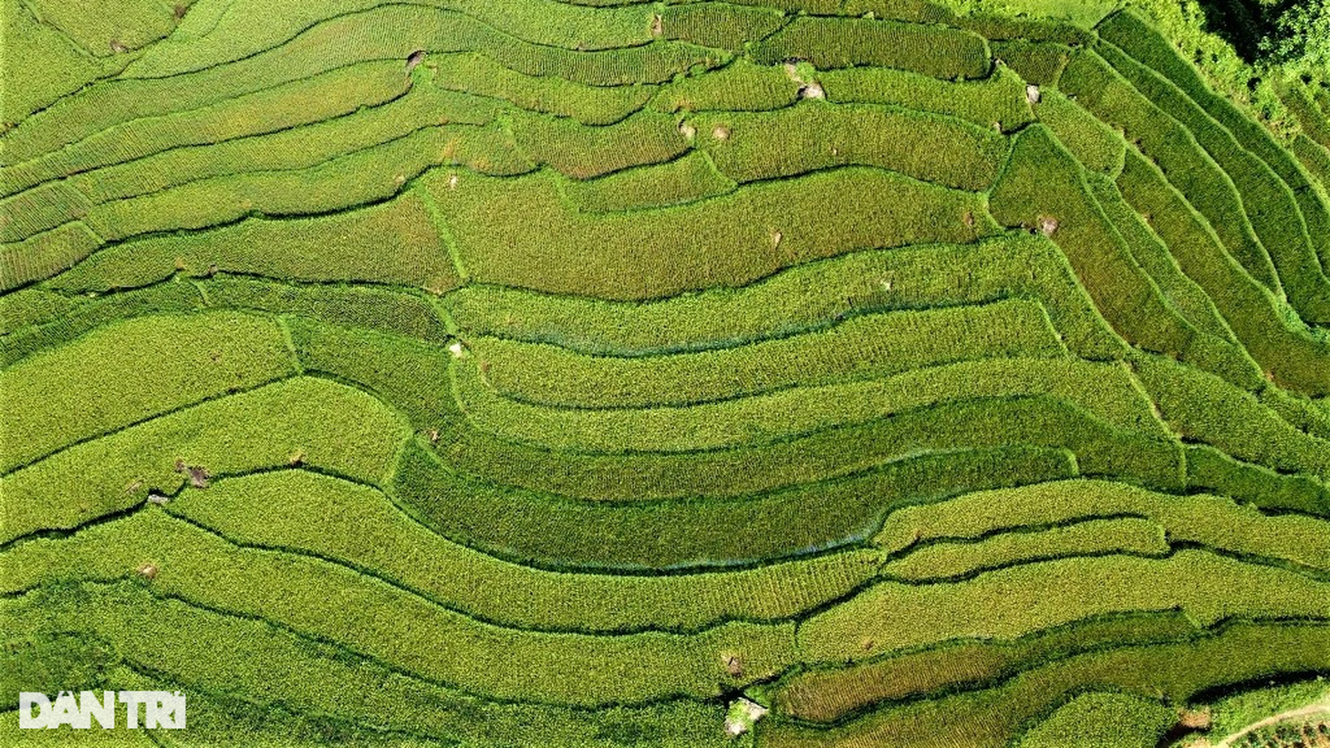 Vẻ đẹp hút hồn ở Pù Luông nơi được mệnh danh là thiên đường giữa đại ngàn - 4