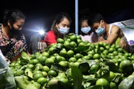 Chợ đêm "thời cô-vít"
