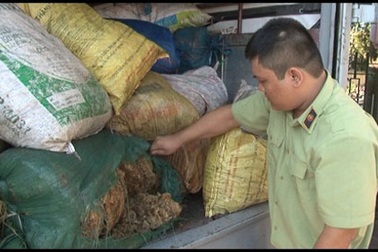 Xử phạt chủ cơ sở mua 4 tấn tóp mỡ bẩn