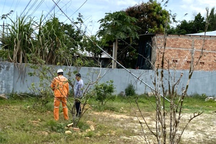 Tháo dỡ cây thông Noel, 6 người bị điện giật