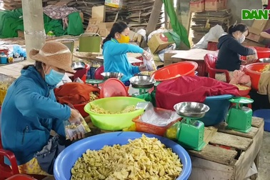 Nghề làm mứt gừng nổi lửa vào Xuân