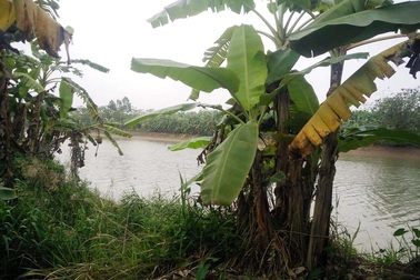 Vụ 3 thi thể trôi sông: Ra hiện trường, bố bàng hoàng phát hiện thi thể con trai