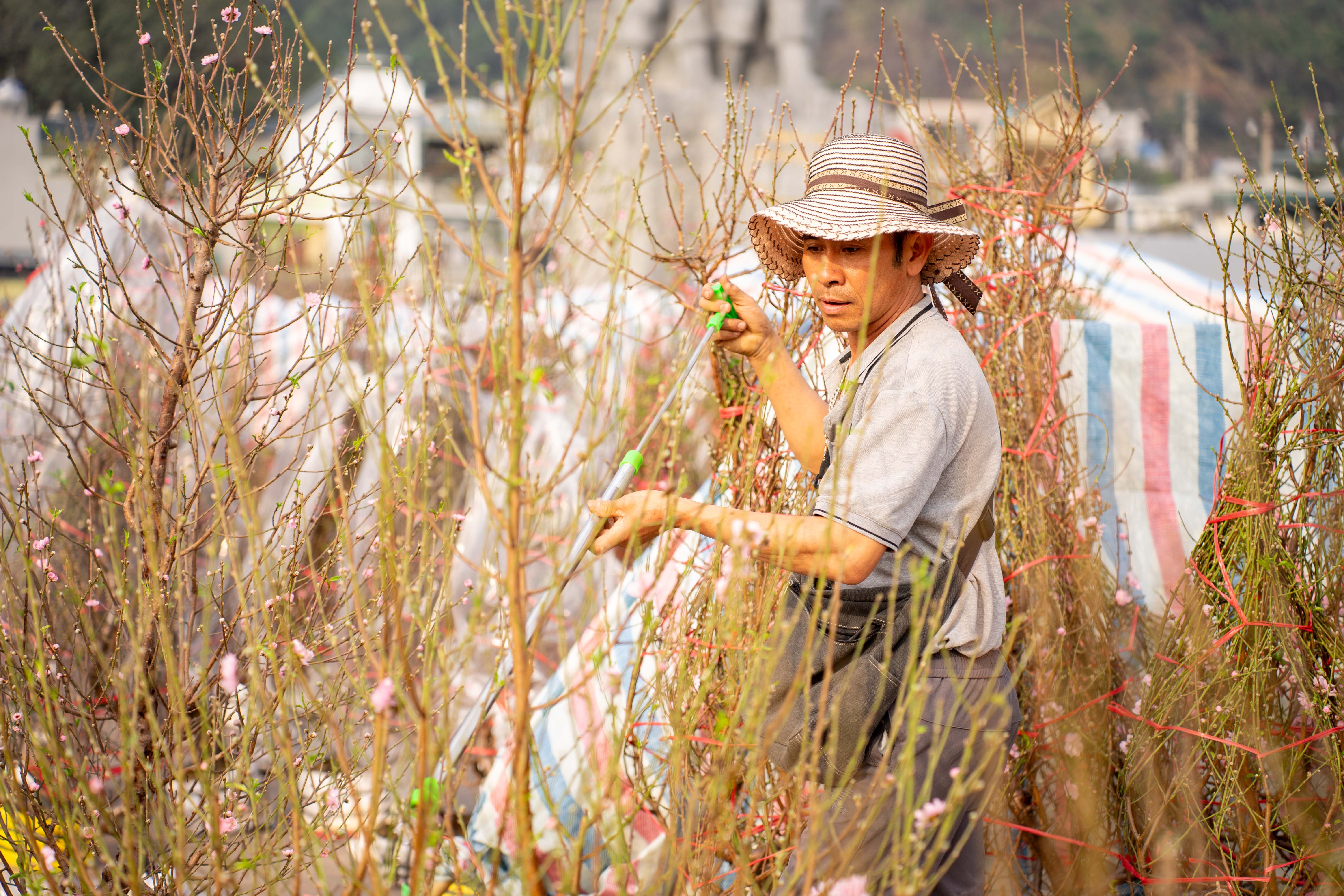 Những ngày cận tết