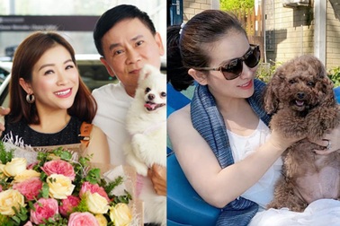 Kiều Linh lần đầu hé lộ hôn nhân đổ vỡ, cuộc sống làm "mẹ" của 400 chú chó