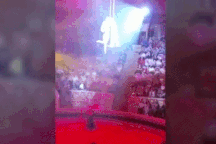 Kinh hoàng cảnh nghệ sĩ xiếc rơi ngã từ trên cao, chấn thương cột sống