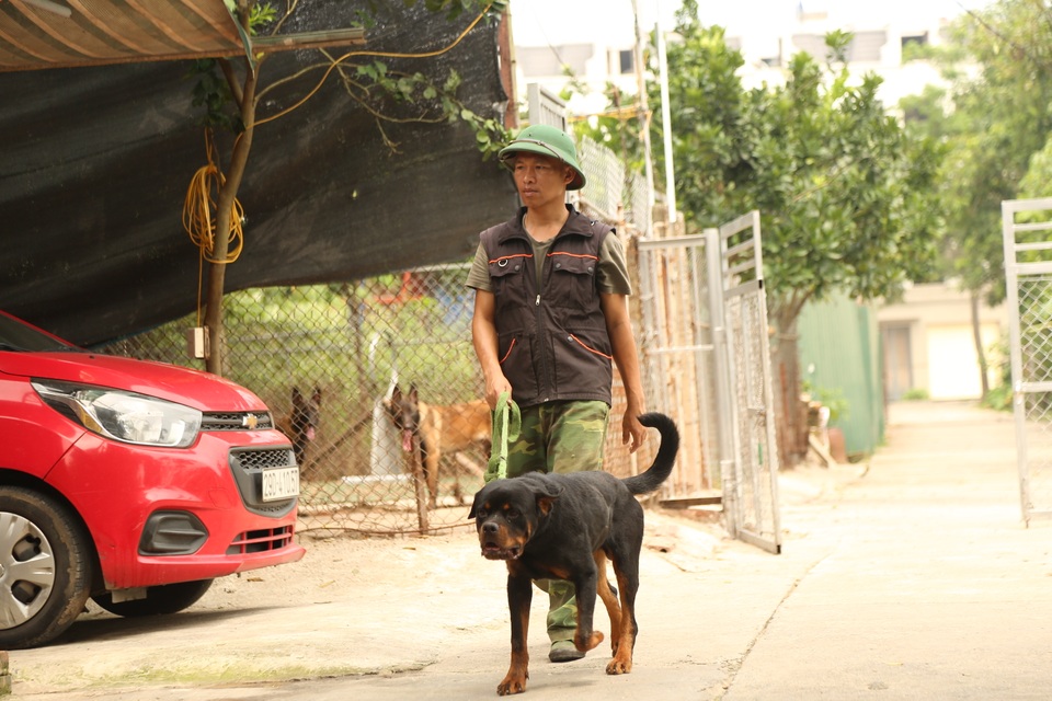 Hà Nội: Thu nhập 20-30 triệu đồng/tháng từ nghề huấn luyện chó - 4 Hà Nội: Thu nhập 20-30 triệu đồng/tháng từ nghề huấn luyện chó - 4