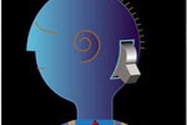 Giàu ý tưởng, chọn nghề gì?