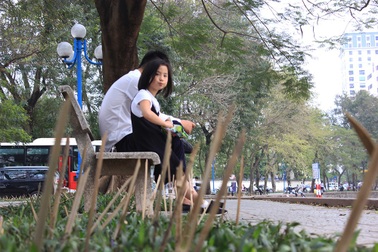 Hà Nội: "Nguỵ trang" vườn hoa thành... bãi chông