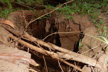 Hoang mang vì vết nứt dài hơn 100m, sâu 3m trên núi