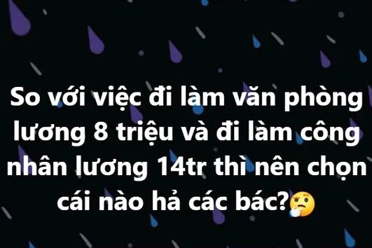 Tranh cãi việc nữ kế toán bỏ nghề đi làm công nhân lương 14 triệu đồng - 1 Tranh cãi việc nữ kế toán bỏ nghề đi làm công nhân lương 14 triệu đồng - 1