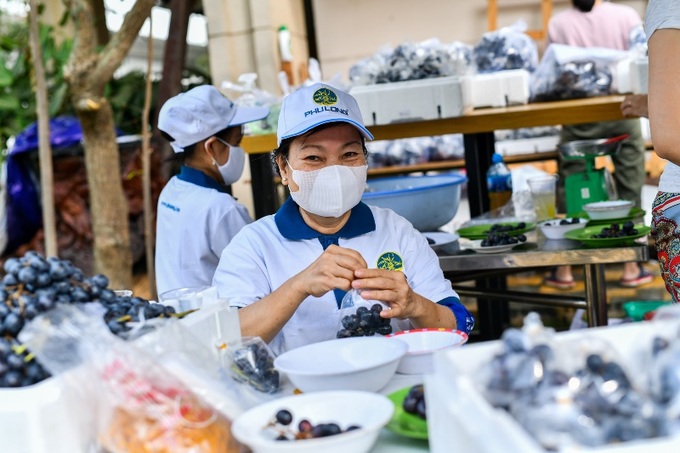 Chuẩn bị trái cây.