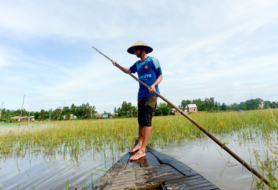 Nông dân miền Tây chật vật mưu sinh mùa nước lũ - 3 Nông dân miền Tây chật vật mưu sinh mùa nước lũ - 3