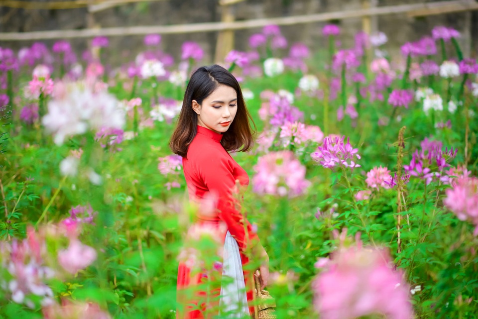 Thiếu nữ xứ chè xinh tươi tạo dáng đón Xuân - 5 Thiếu nữ xứ chè xinh tươi tạo dáng đón Xuân - 5