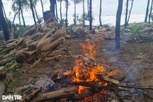 Tận diệt chim trời, nướng ngay trong rừng