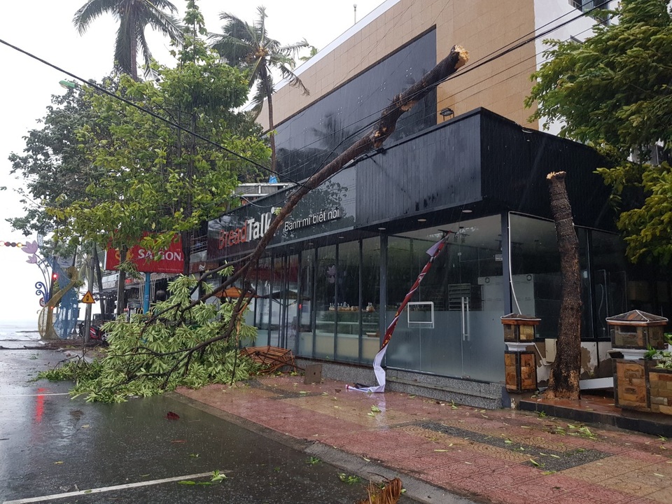 Đường phố Nha Trang tan tác trong bão số 12 - 9 Đường phố Nha Trang tan tác trong bão số 12 - 9