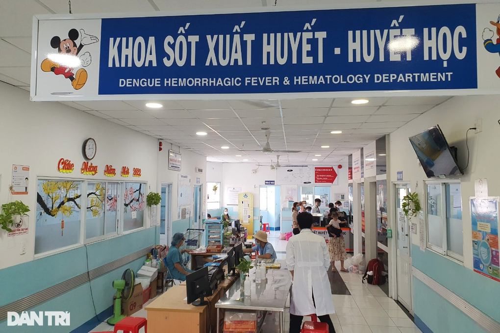 TPHCM lại thêm ca tử vong vì sốt xuất huyết: 5 việc người dân cần làm ngay - 1 TPHCM lại thêm ca tử vong vì sốt xuất huyết: 5 việc người dân cần làm ngay - 1