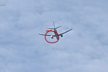 Máy bay Mỹ cháy động cơ giữa không trung vì đâm phải chim