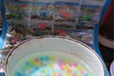 Hiểm họa từ hạt nhựa nở trong nước