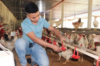 Hành trình từ tay trắng đến chủ trang trại tiền tỷ của chàng trai trẻ