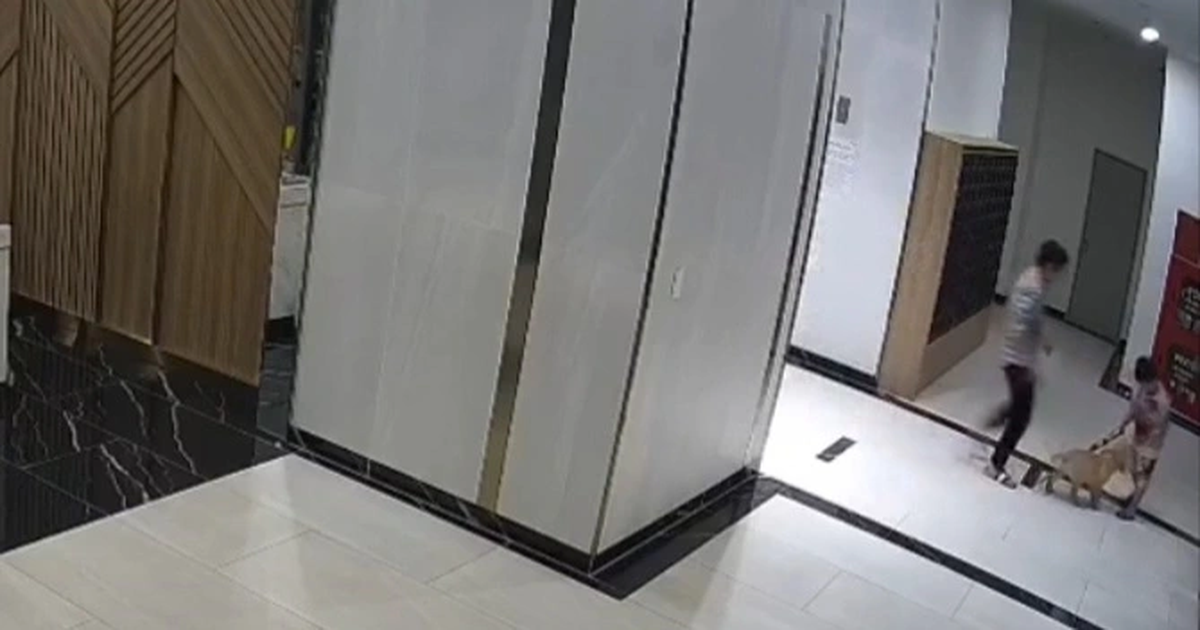 dantri.com.vn