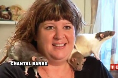 Bỏ chồng vì quá yêu... chuột