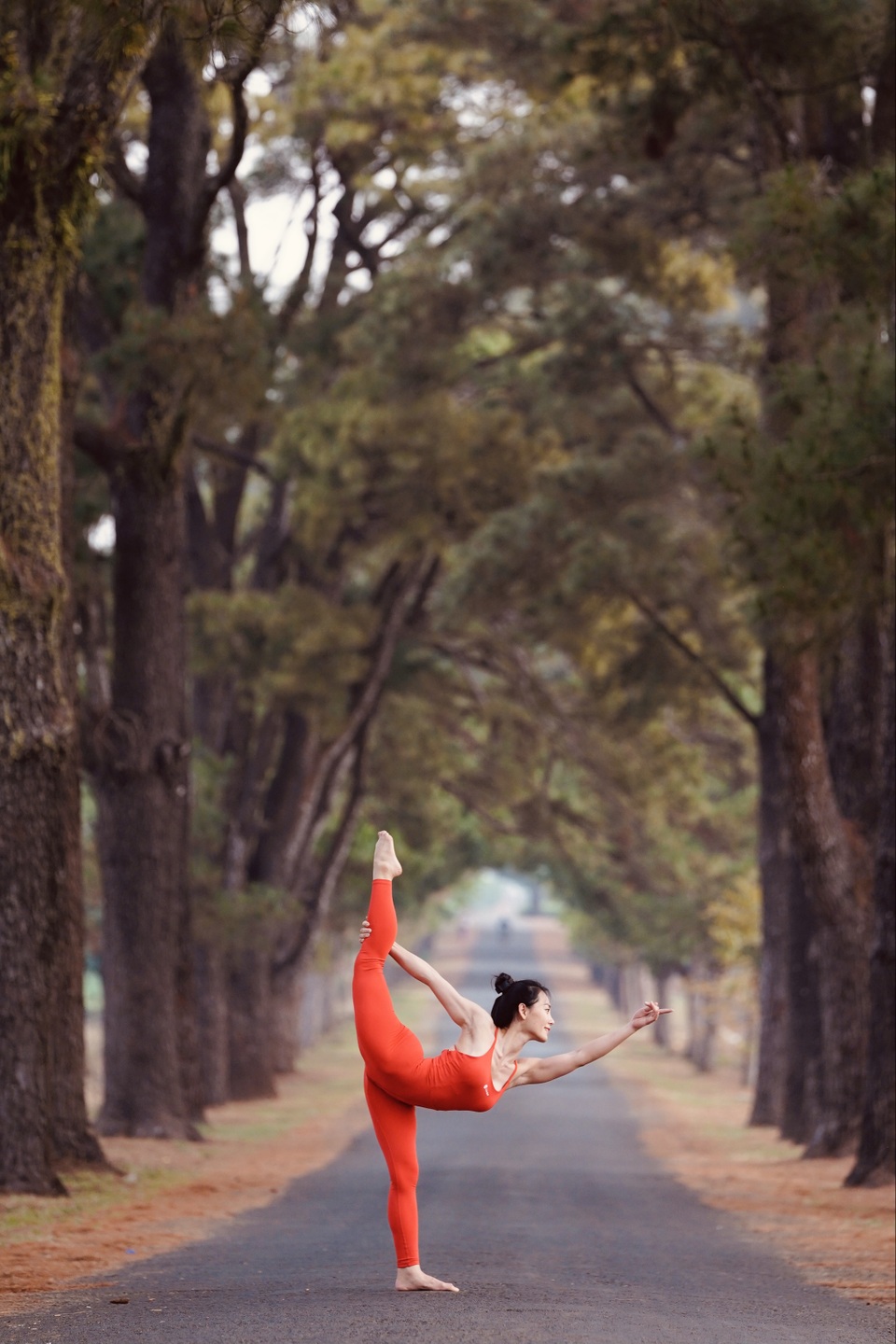 Màn trình diễn của giáo viên yoga 9x giữa khu bảo tồn tuyệt đẹp ở Gia Lai - 7 Màn trình diễn của giáo viên yoga 9x giữa khu bảo tồn tuyệt đẹp ở Gia Lai - 7