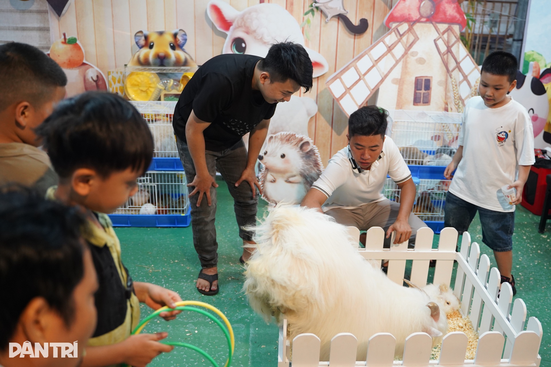 Giao lưu “chiến binh sắt”, dấu ấn đặc biệt tại Ngày hội Sinh vật cảnh TPHCM - 6 Giao lưu “chiến binh sắt”, dấu ấn đặc biệt tại Ngày hội Sinh vật cảnh TPHCM - 6