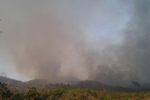 Cháy lớn tại rừng Bắc Biển Hồ