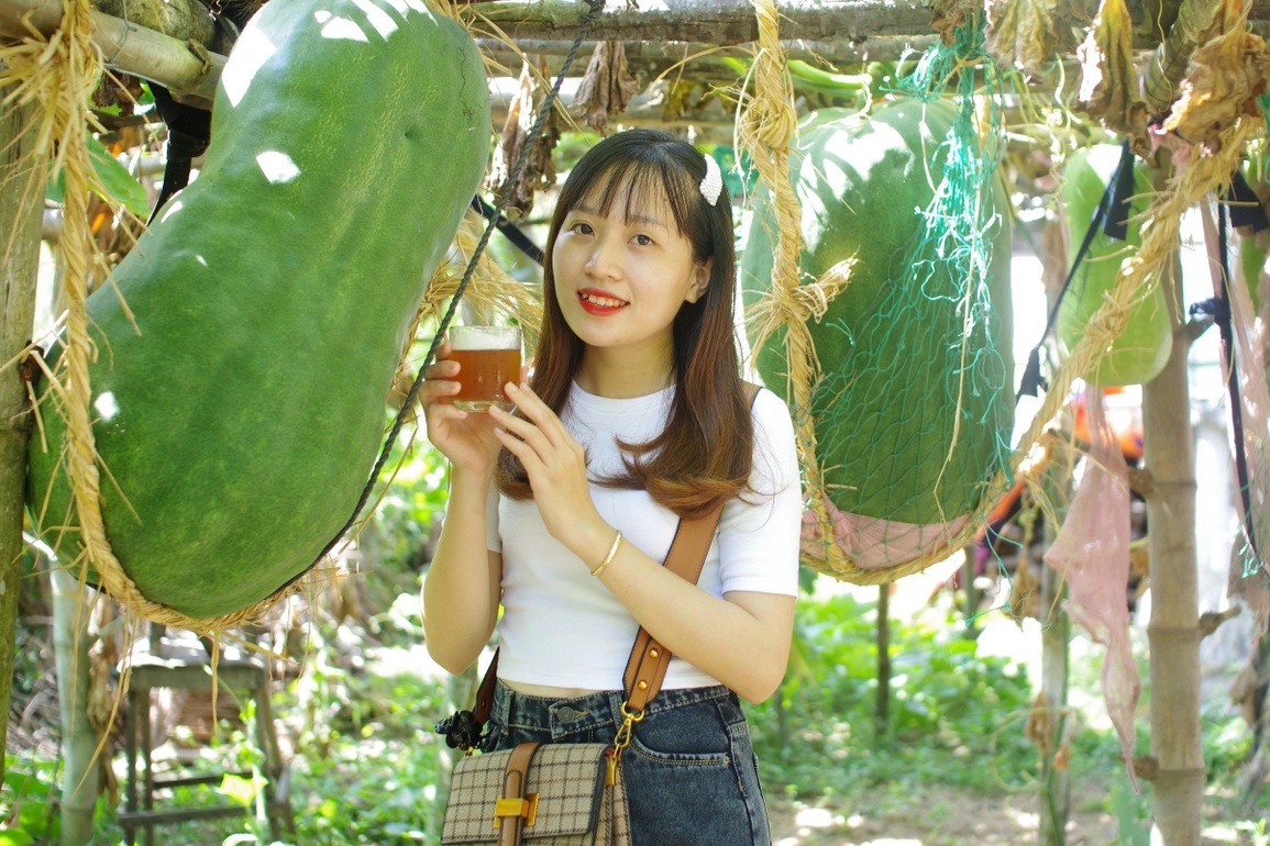 Làng trồng bí đao khổng lồ, quả nặng hơn nửa tạ ở Bình Định - 7 Làng trồng bí đao khổng lồ, quả nặng hơn nửa tạ ở Bình Định - 7