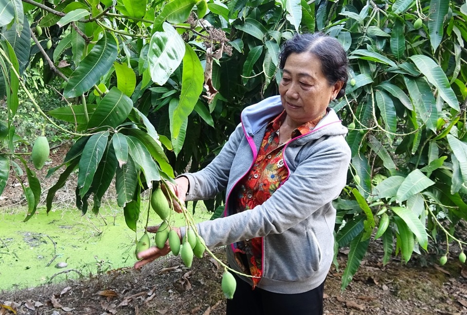 Đồng Tháp: Nữ cựu chiến binh hết lòng với hoạt động xã hội - 1 Đồng Tháp: Nữ cựu chiến binh hết lòng với hoạt động xã hội - 1