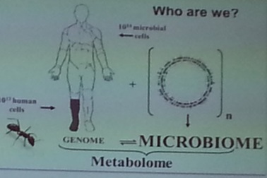 Những điều thú vị chưa biết về lợi khuẩn