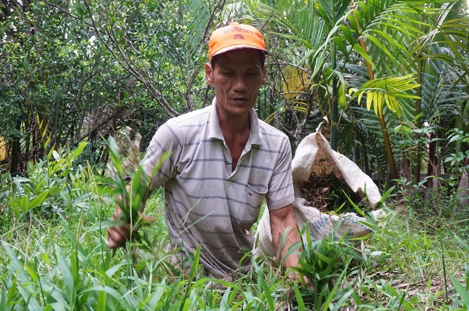 Thán phục người đàn ông bị cụt 2 chân vẫn đào đất, leo dừa thoăn thoắt - 3 Thán phục người đàn ông bị cụt 2 chân vẫn đào đất, leo dừa thoăn thoắt - 3