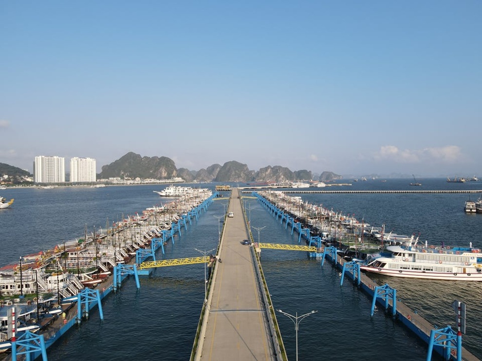 Quảng Ninh: Kịch bản nào để tháo gỡ khó khăn, thách thức mới do đại dịch Covid-19 - 5