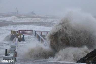 Hai ứng dụng hữu ích cần có trên điện thoại trước khi bão đổ bộ