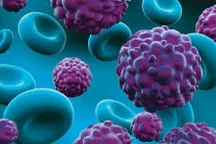 Liệu pháp nội tiết, thuốc nhắm trúng đích có gây vô sinh không?