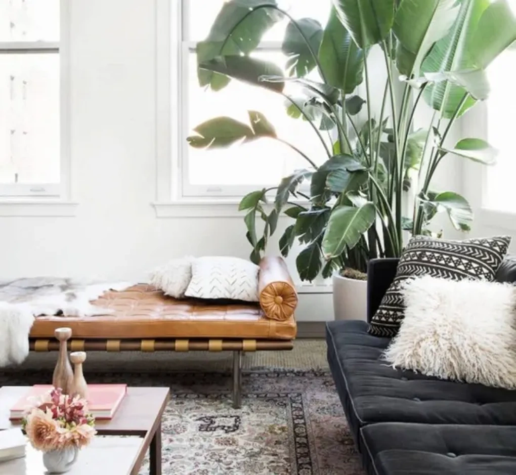 Tại sao chuyên gia phong thủy khuyên không nên đặt sofa trước cửa sổ? - 3 Tại sao chuyên gia phong thủy khuyên không nên đặt sofa trước cửa sổ? - 3