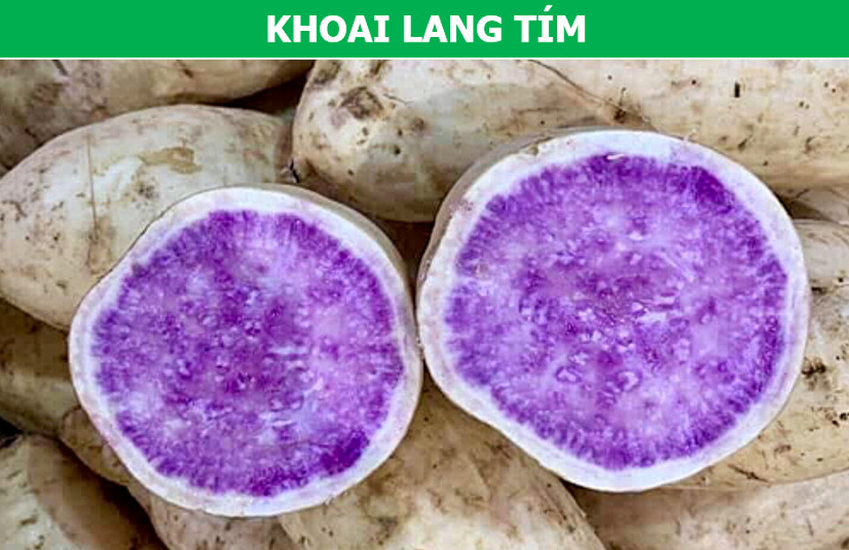 Vì sao các loại rau quả màu tím lại là “khắc tinh” của ung thư? - 3 Vì sao các loại rau quả màu tím lại là “khắc tinh” của ung thư? - 3