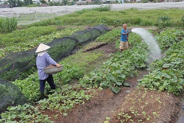 Chuyển đổi 26.000 ha đất nông nghiệp: Dân sẽ được lợi!